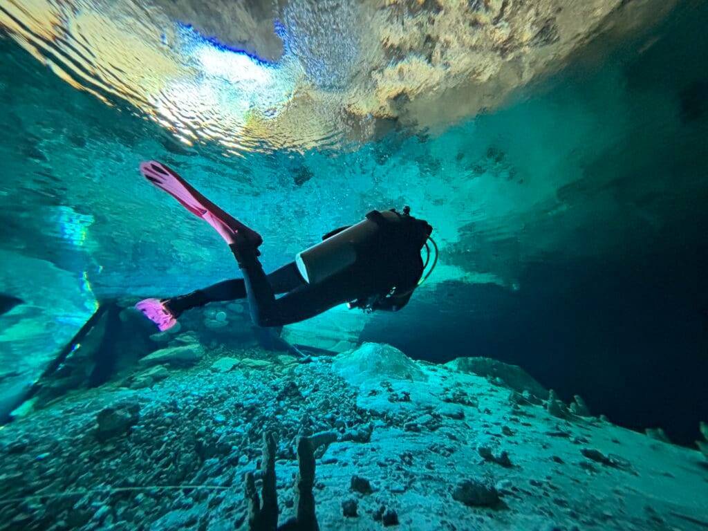 Diving in a cenote in Playa del Carmen 