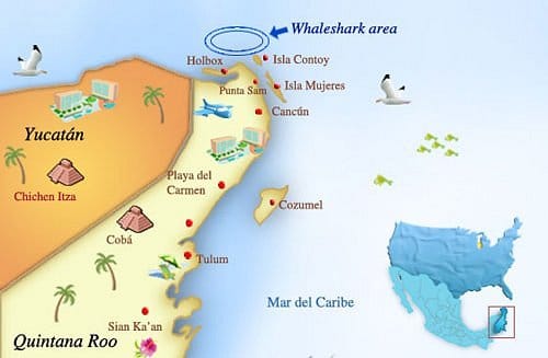 Map of whale sharks in cancun 