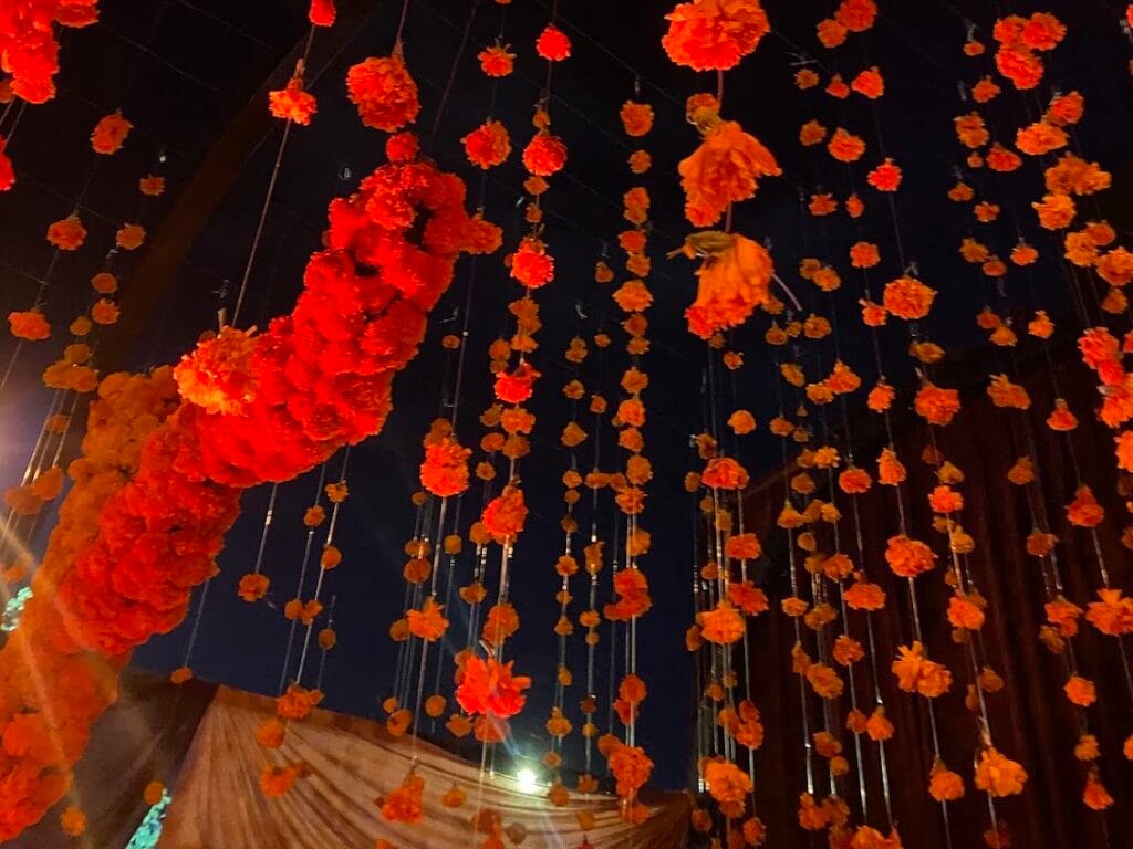 Marigold dia de los muertos 