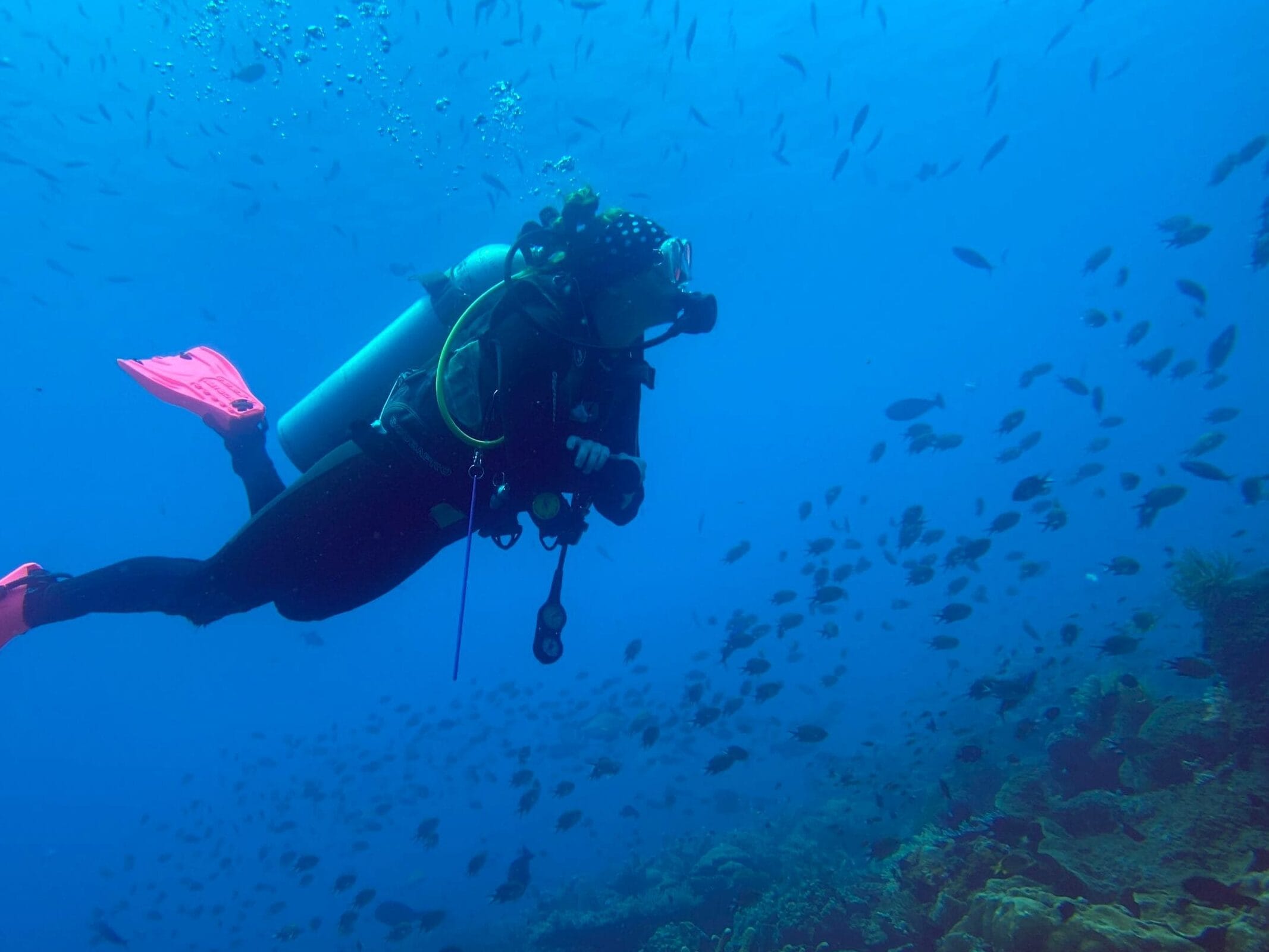 Scuba diving in Playa del Carmen reefs